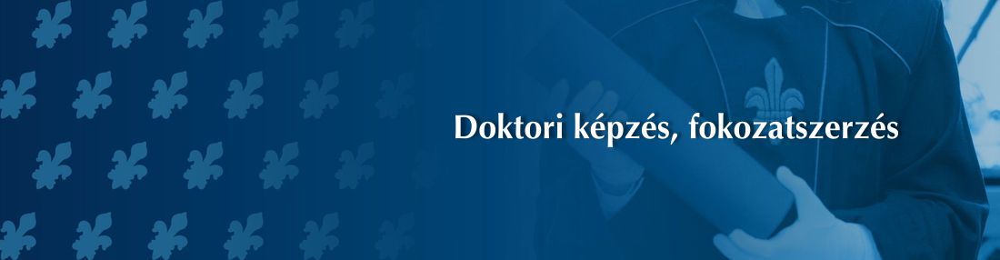 Doktori képzés, fokozatszerzés