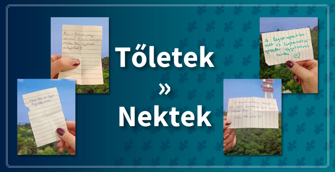 toleteknektek